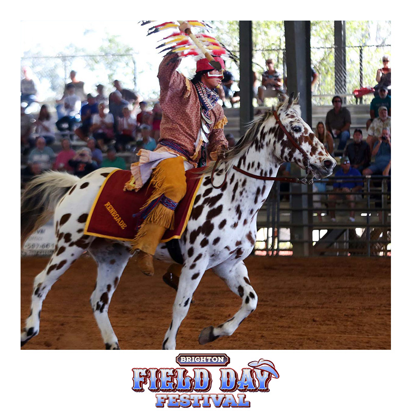 Discover Florida Seminole Country